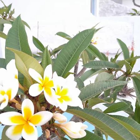 דירה Sunset Annada No3 *