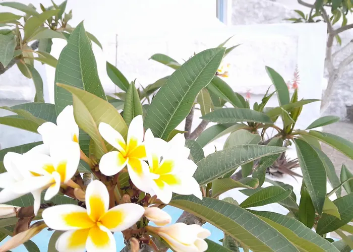 Apartament Sunset Annada No3 *